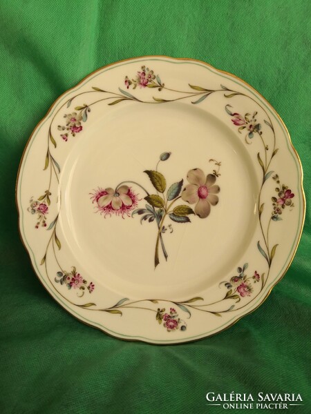 Extremely rare antique Herend plate - collector's item