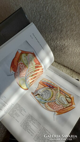 Rare anatomy books peter popesko picture album album, i.-ii.- iii.- volume, color drawings