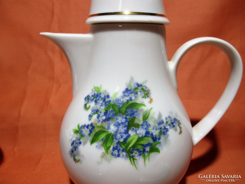 Beautiful forget-me-not coffee set, pouring cup, sugar bowl