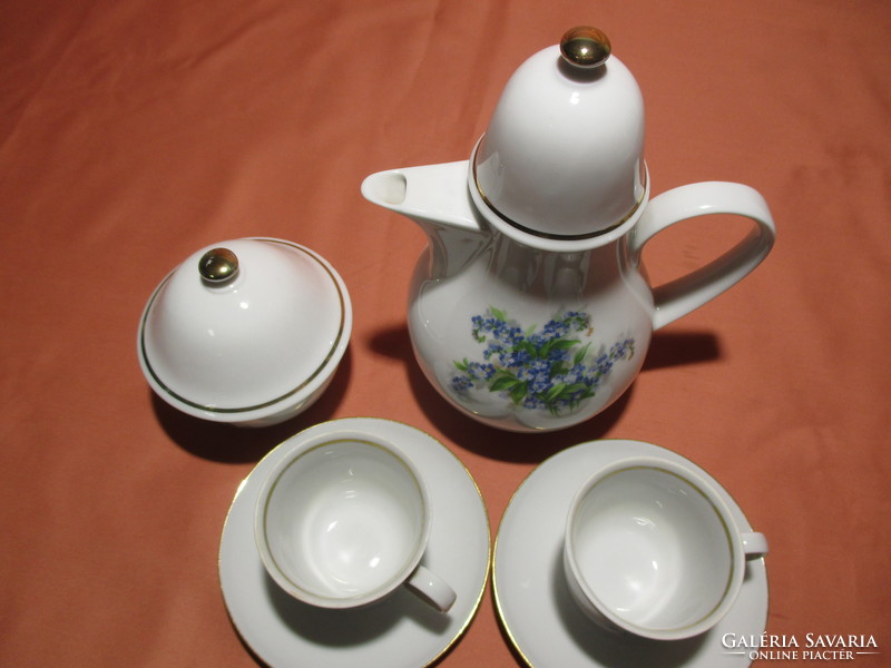 Beautiful forget-me-not coffee set, pouring cup, sugar bowl