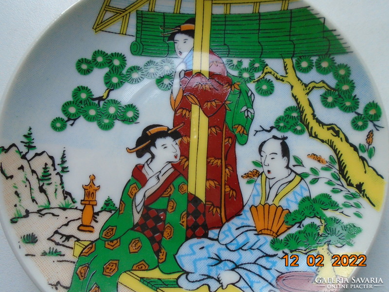 Hand painted hand marked Japanese decorative plate with a very rare scene pattern