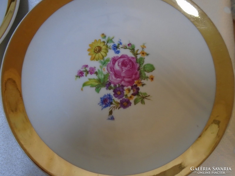 Nice old bohemian rose pattern hand painted porcelain serving bowl with 6 plates
