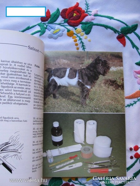 My dog is sick. Dog diseases prevention, recognition, help. Subrosa, bp., N. N. (1997)