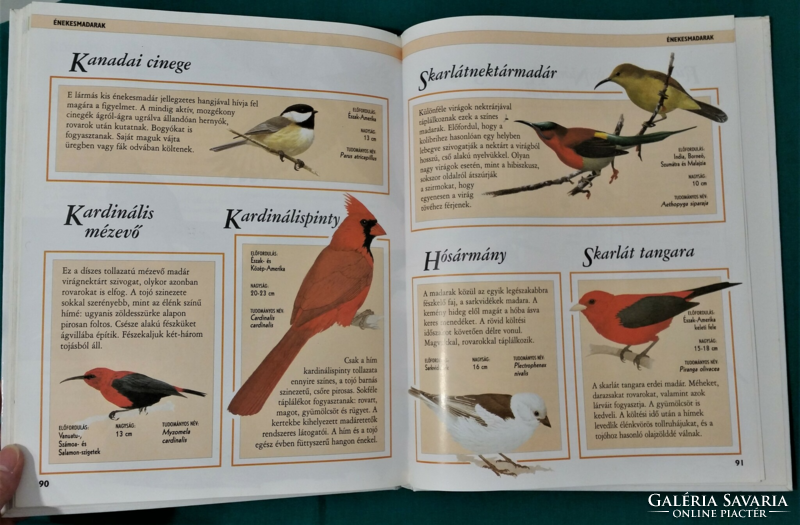 'Jinny johnson: birds - encyclopedia for children> non-fiction book >