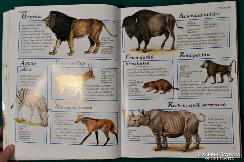 Roger few: encyclopedia for children - wild animals > informative book >