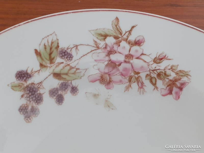 Régi porcelán fali tányér erdei szeder mintás gyümölcsös népi falidísz