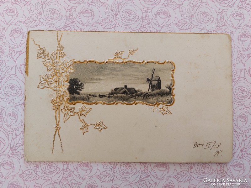Régi képeslap 1901 dombornyomott levelezőlap tájkép növényminta