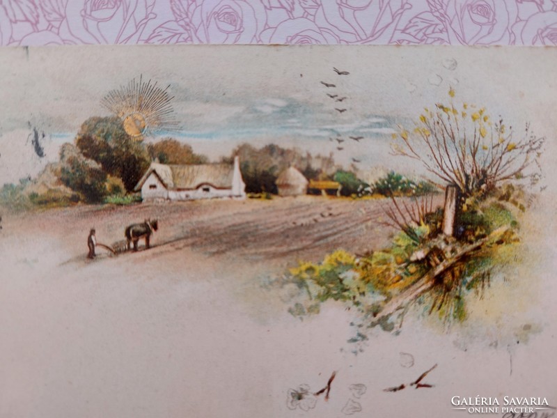 Old postcard 1900 postcard landscape field equestrian plow