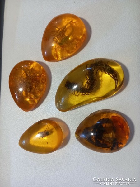 Sumatra amber with animals (coal resin)