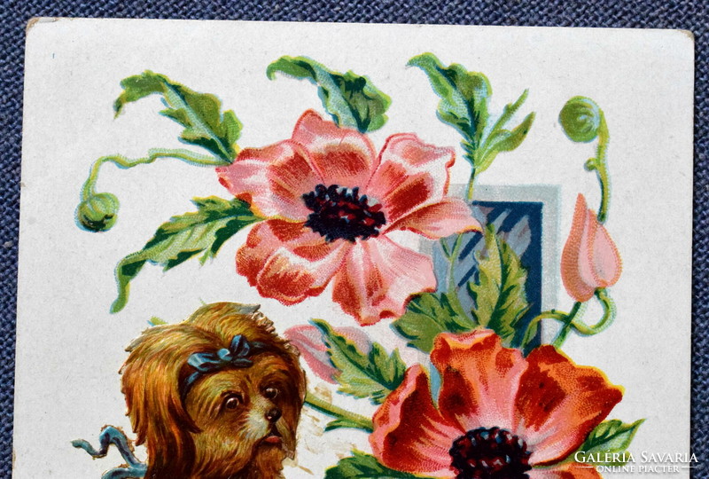 Antik szecessziós  művészi litho képeslap  valódi dekupázs  pipacs masnis kutya rózsák