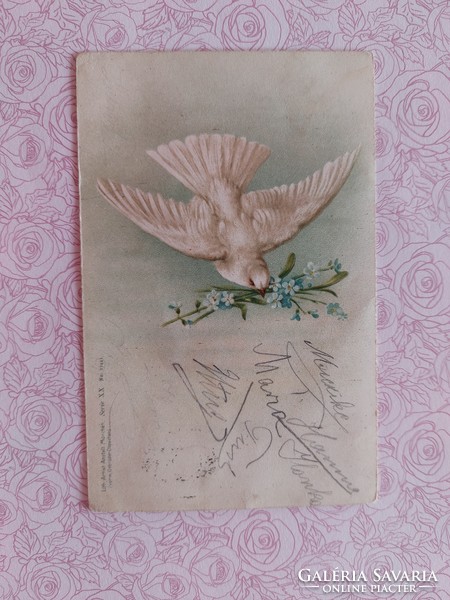 Old postcard 1899 postcard pigeon forget-me-not motif