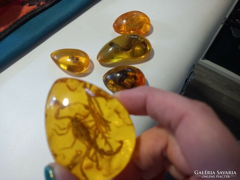 Sumatra amber with animals (coal resin)