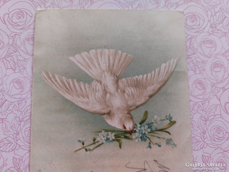 Old postcard 1899 postcard pigeon forget-me-not motif