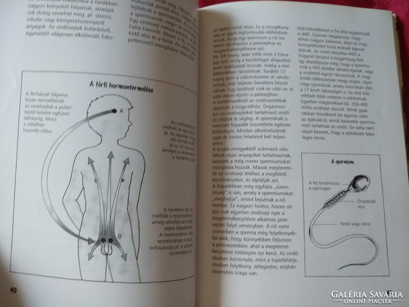 Schneider - Rieger: Felvilágosítókönyv fiataloknak,  Alkudható