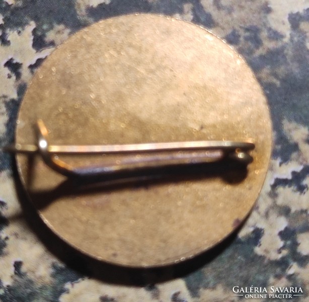 Wooden. Glider exam badge