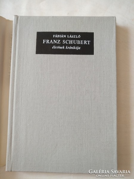 László Fábián: the chronicle of Schubert's life, recommend!