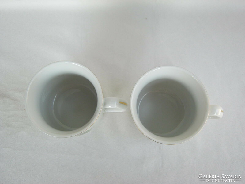 Bohemia porcelain flower mug pair