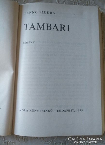 Pludra: tambari, recommend!