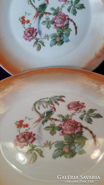 Antik madaras Zsolnay porcelán tányér (L2209)