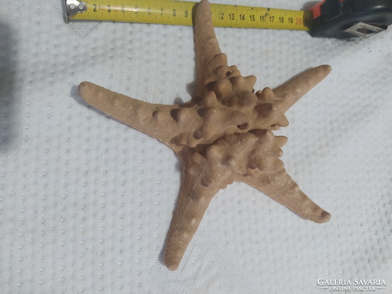 Starfish