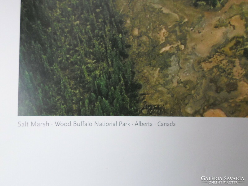 Poszter 36.: Szikes mocsár a Wood Buffalo Nemzeti Parkban, Kanada (fotó)