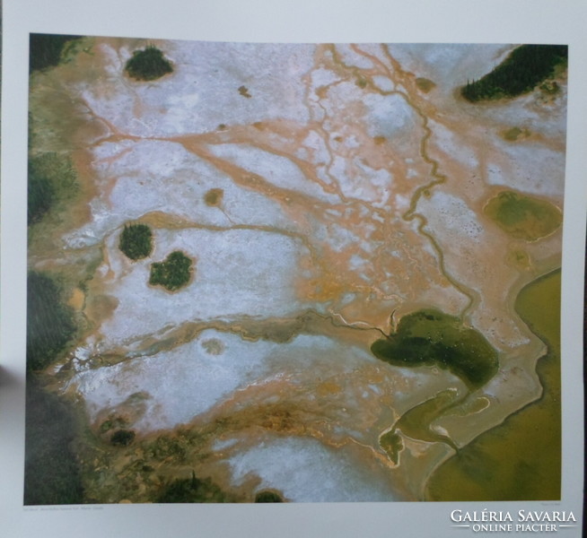 Poster 36.: Salt marsh in Wood Buffalo National Park, Canada (photo)