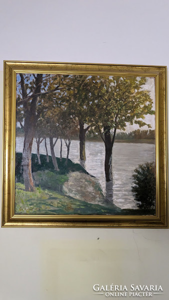 Máté Dudás: the Moson Danube ojal canvas painting flows with a frame