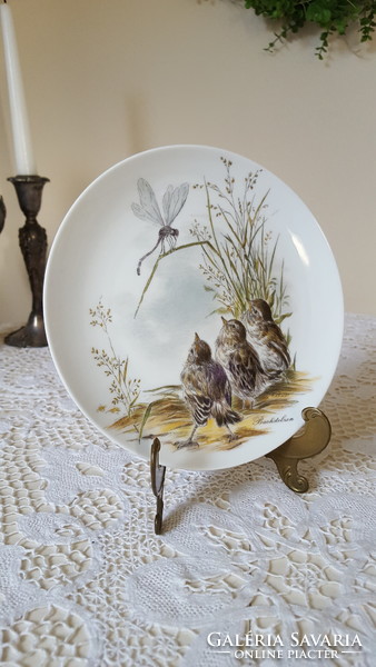 Beautiful bird dish, Kaiser Germany porcelain plate, wall decoration