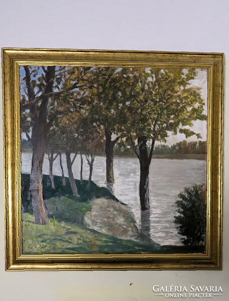 Máté Dudás: the Moson Danube ojal canvas painting flows with a frame