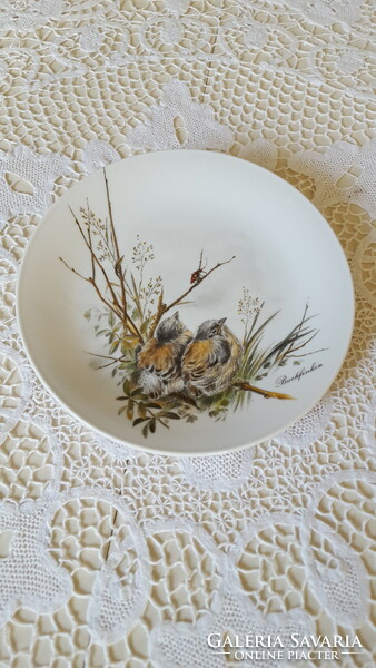 Beautiful bird dish, Seltmann Bavarian porcelain plate, wall decoration