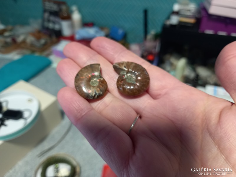 A pair of fossils of 4 cm and flawless, beautiful Madagascar ammonite