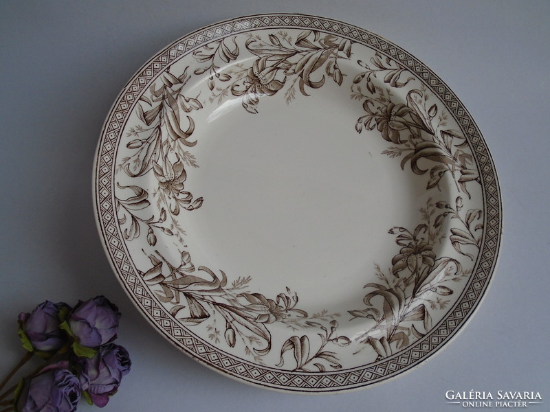 Wedgwood & co English antique plate.