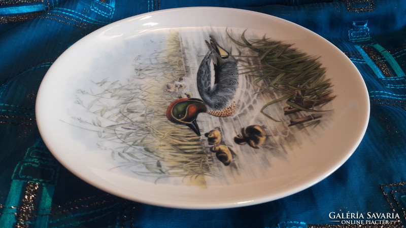 Porcelain decorative plate with rattling duck, wall plate with duck bird (l3383)