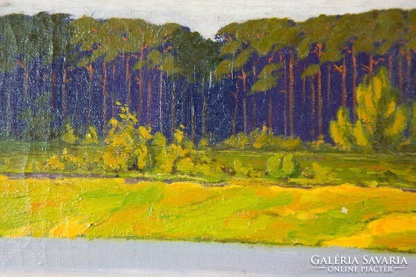 E. Sommler: waterfront landscape oil on canvas landscape, painting - 50843