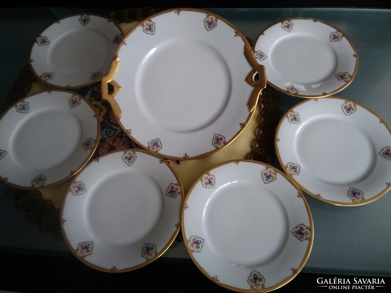 Schlaggenwald porcelain cake set with medallion flower pattern, rich gilding!