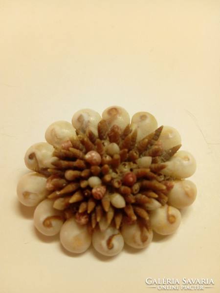 Shell, snail brooch (442)