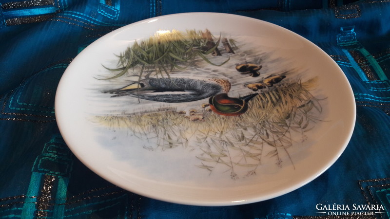 Porcelain decorative plate with rattling duck, wall plate with duck bird (l3383)