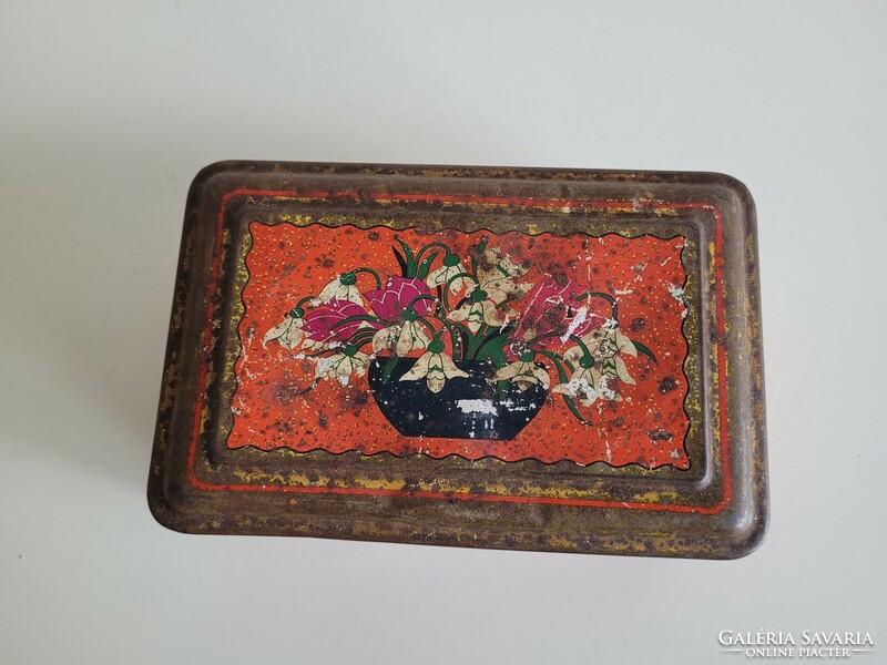 Old metal box with snow flower pattern, vintage Saint Stephen chicory coffee supplement box