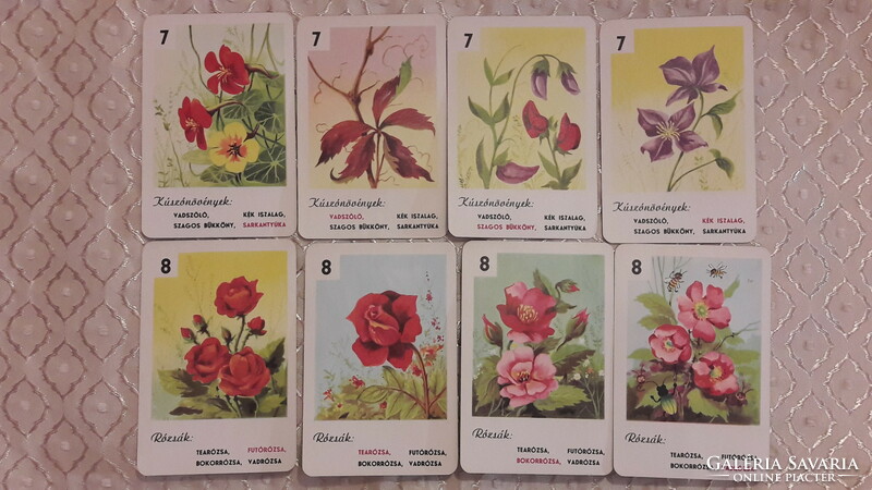 Retro kártya, virág kvartett (M3394)