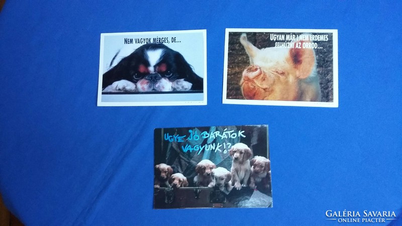 Three humorous / funny animal postcards