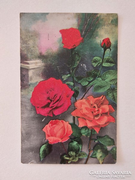 Old floral postcard postcard with roses