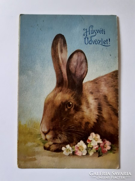 Old Easter postcard 1926 bunny postcard