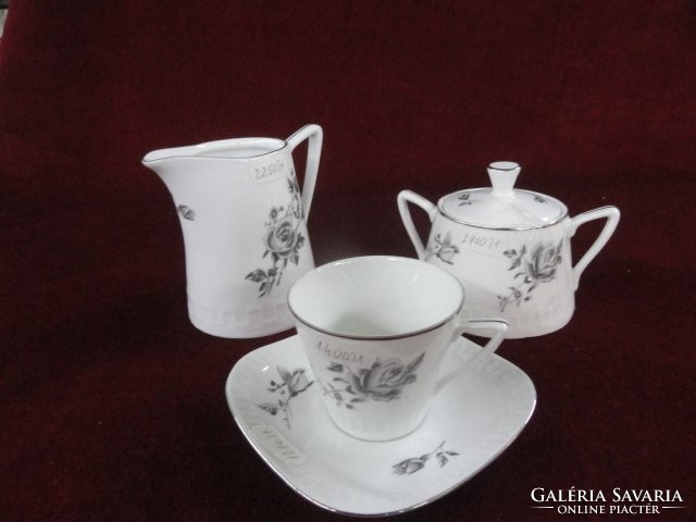 Wawel Polish porcelain 14-piece coffee set. With silver border, silver rose. He has!