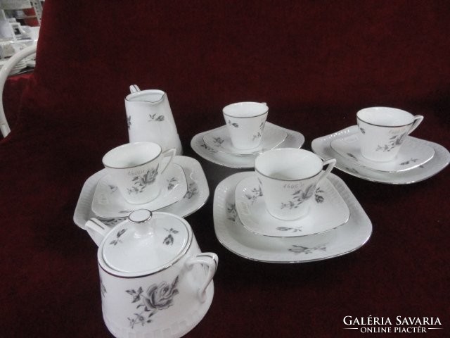Wawel Polish porcelain 14-piece coffee set. With silver border, silver rose. He has!