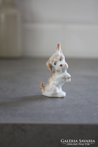 Aquincum porcelain puppy, dog - in beautiful, flawless condition