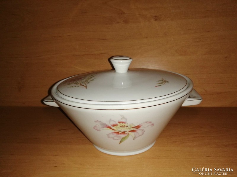 Antik jelzett porcelán virágmintás levesestál (6p)