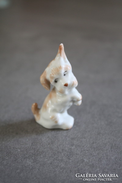 Aquincum  porcelán kiskutyus, kutya -szép hibátlan állapotban