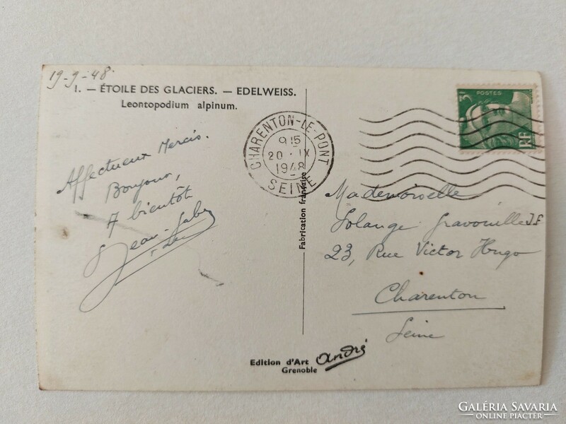 Régi virágos képeslap 1948 levelezőlap havasigyopár