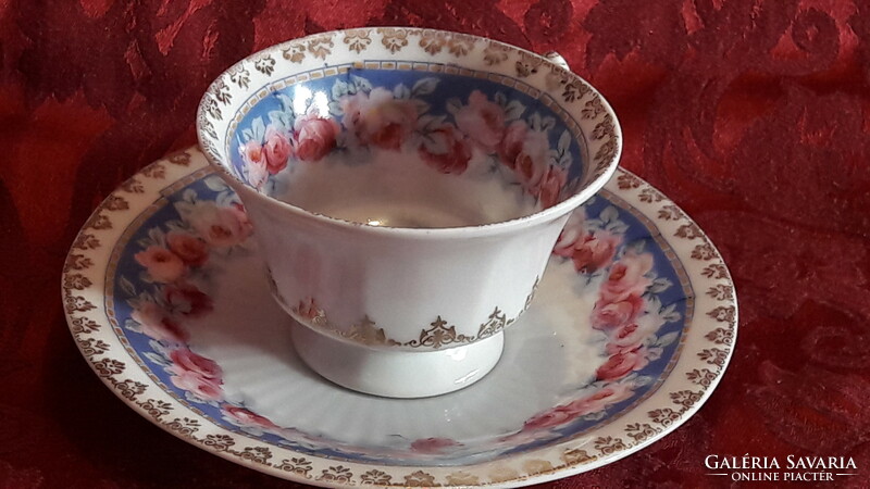 Altwien porcelain coffee cup with saucer (l3489)