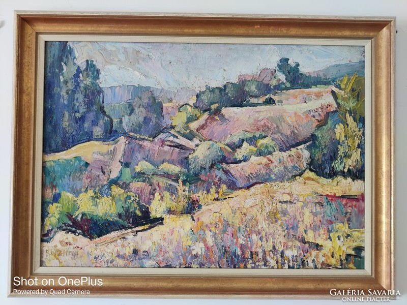 Kollarits Ferenc Börzsönyi's painting Hill Country is for sale
